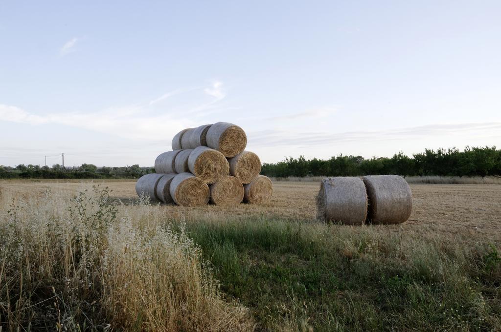 Agrimat Salento Sas Villa Alezio Exteriör bild