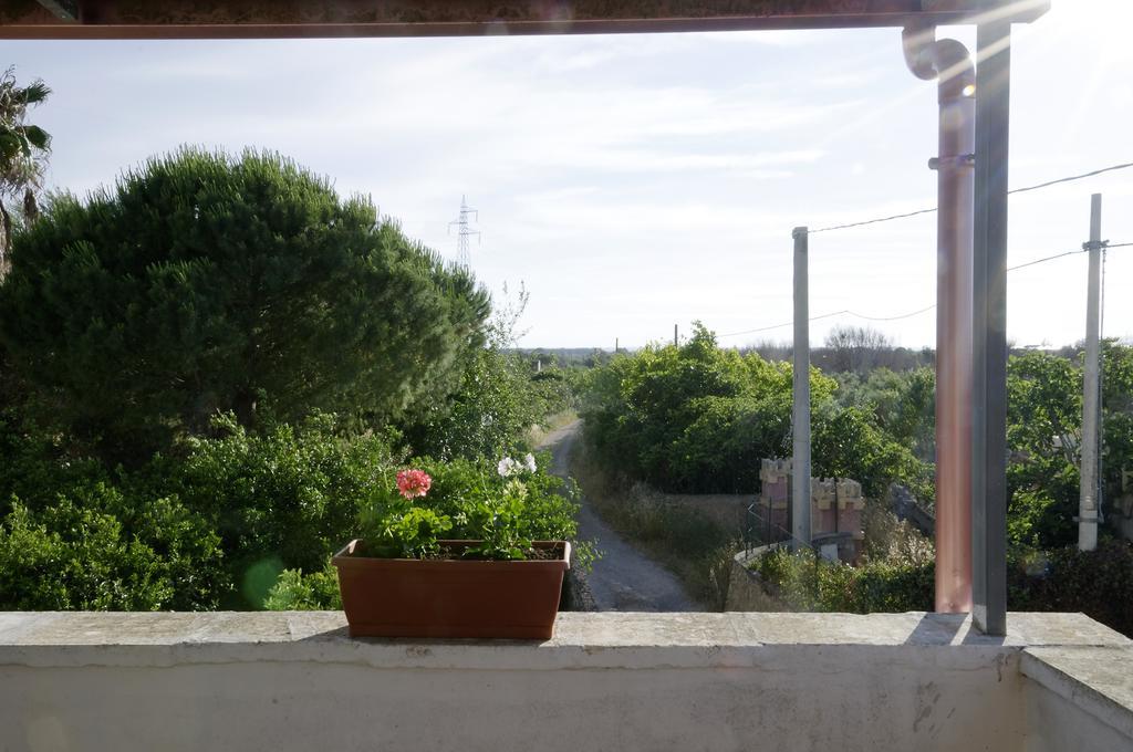 Agrimat Salento Sas Villa Alezio Exteriör bild